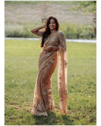 Soft Net Saree Sequin Embroidered