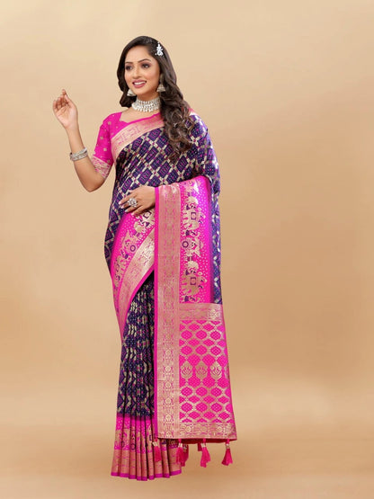 Soft Patola Silk Saree with Meenakari Motifs