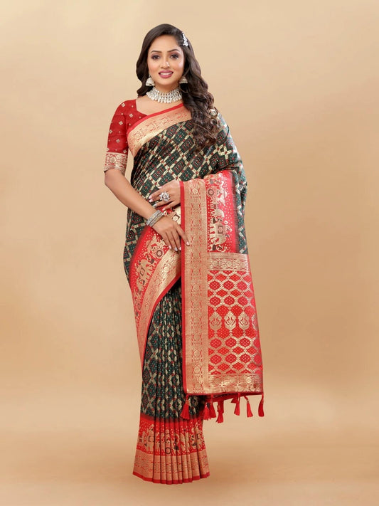 Soft Patola Silk Saree with Meenakari Motifs