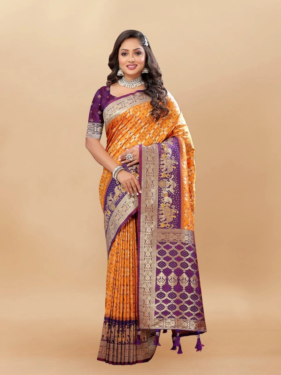 Soft Patola Silk Saree with Meenakari Motifs