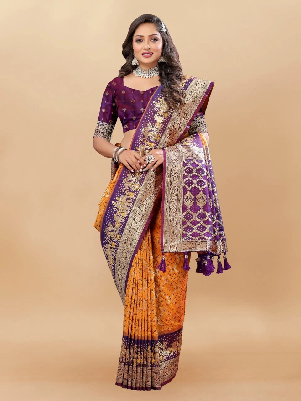 Soft Patola Silk Saree with Meenakari Motifs