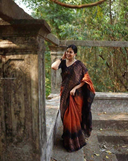 Traditional Red & Black Cotton Saree