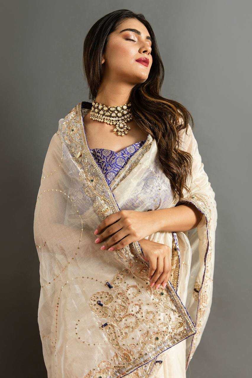 Stylish Jimmy Choo Saree