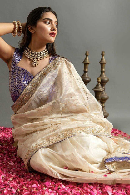 Stylish Jimmy Choo Saree