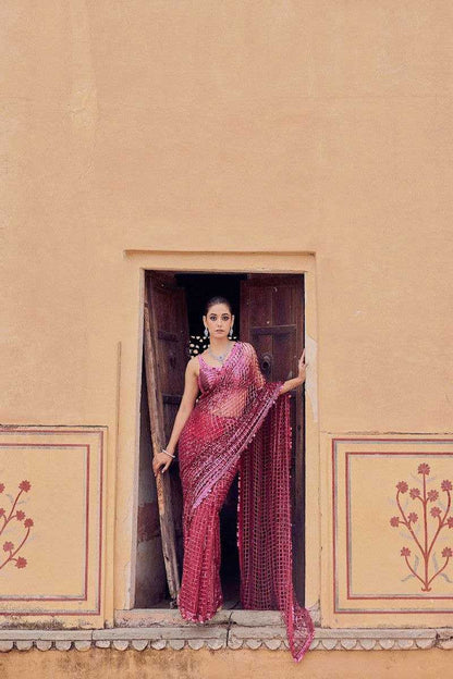 Stylish Net Saree