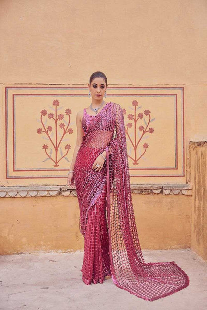 Stylish Net Saree