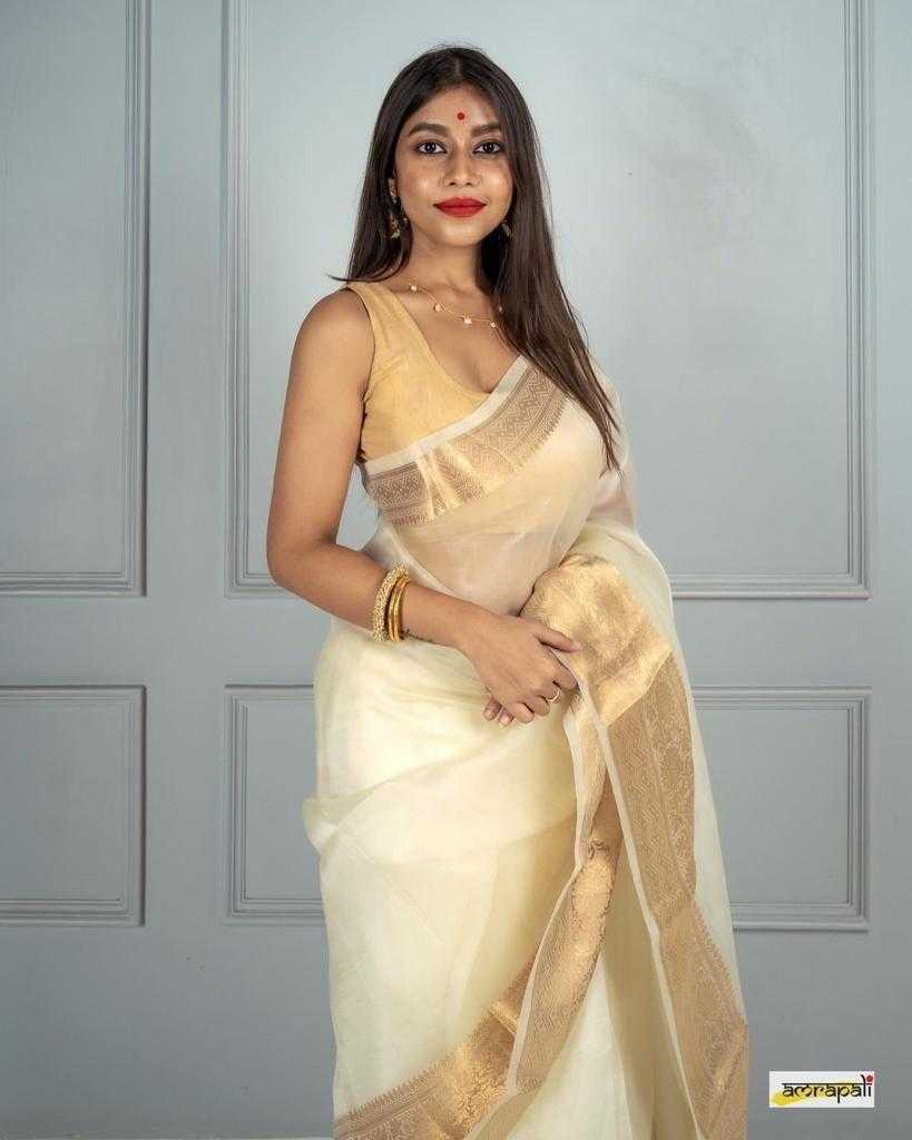 White Soft Plain Nylon Organza Saree