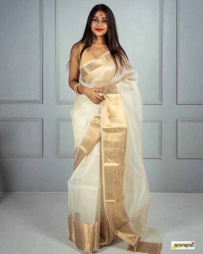 White Soft Plain Nylon Organza Saree