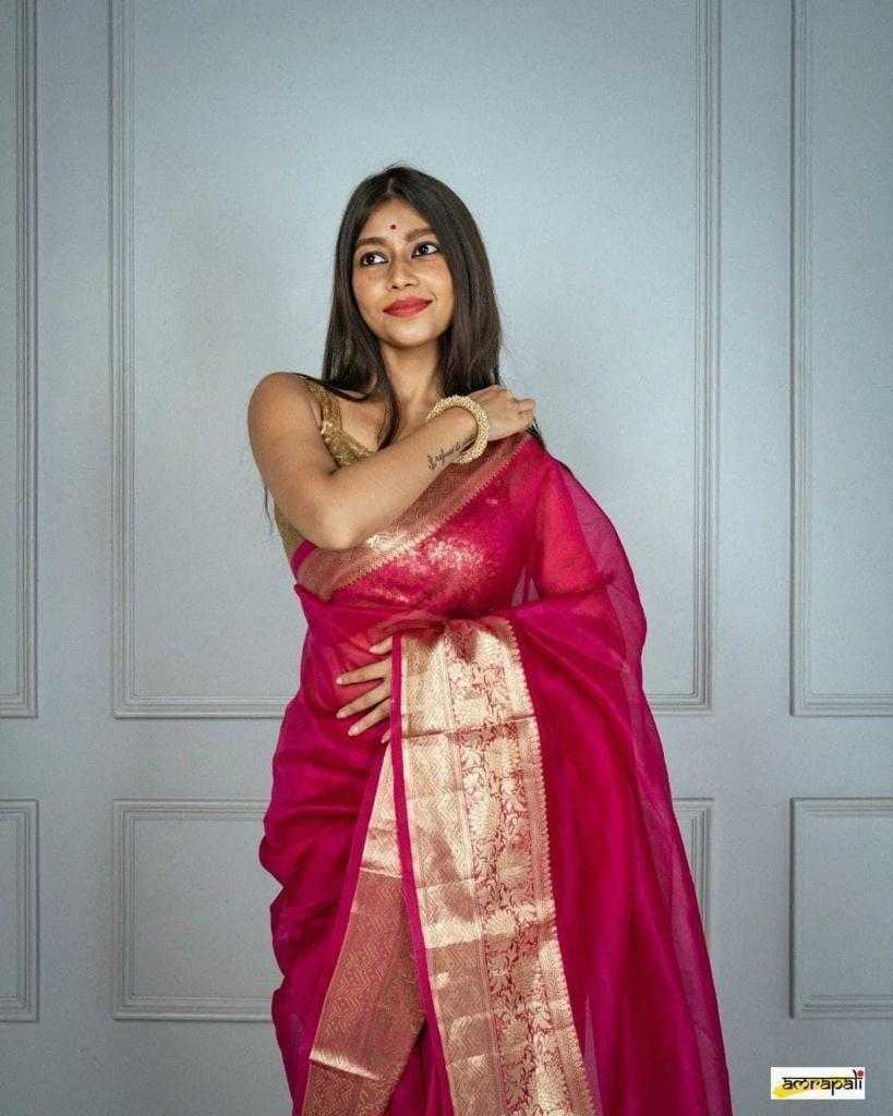 Red Soft Plain Nylon Organza Saree