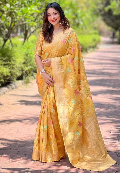 Organza Saree with Meenakari Jaal Weaves