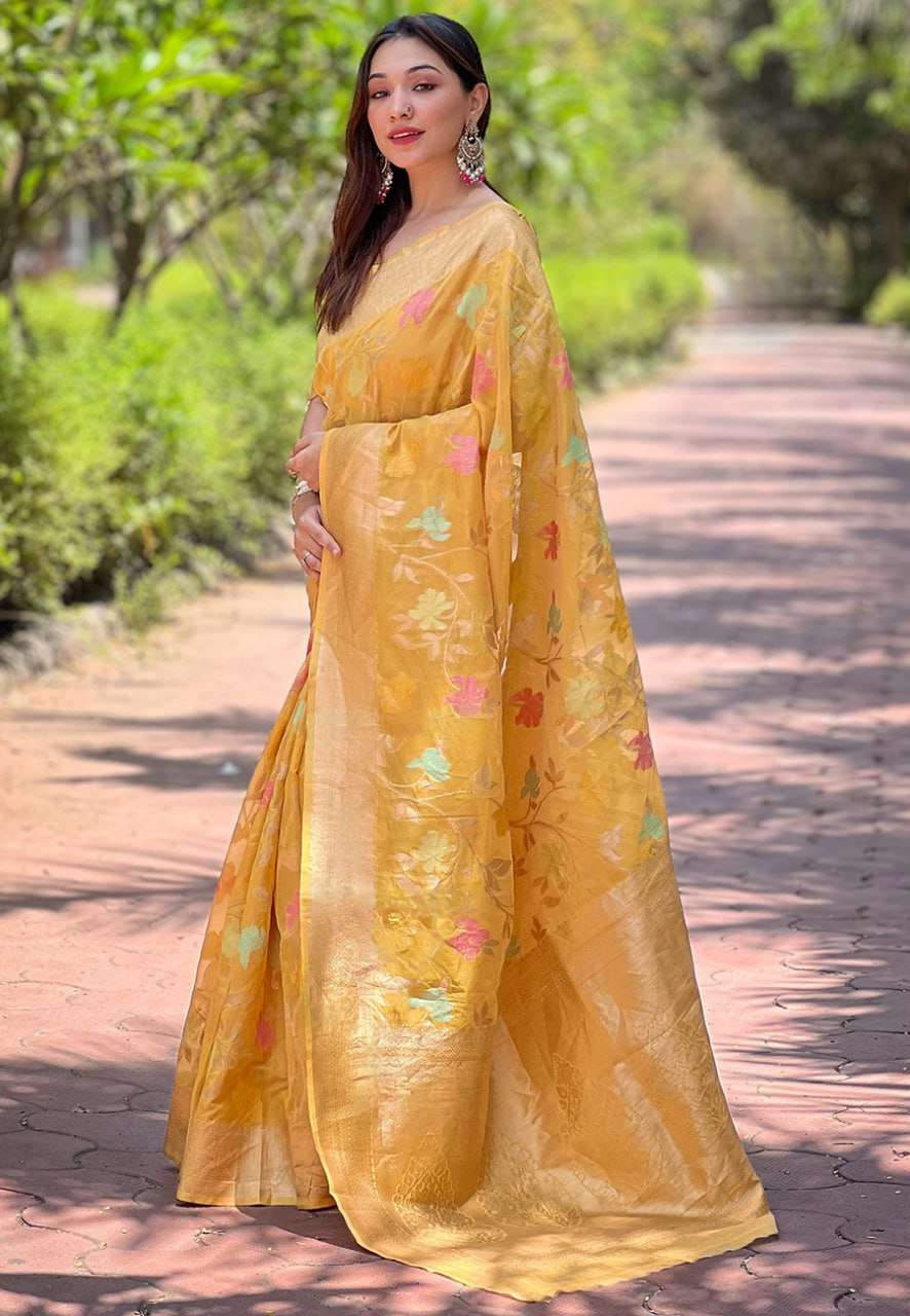 Organza Saree with Meenakari Jaal Weaves