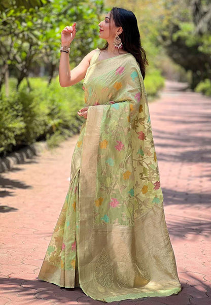 Organza Saree with Meenakari Jaal Weaves