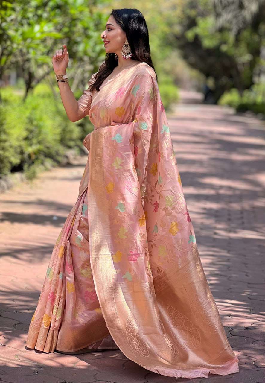 Organza Saree with Meenakari Jaal Weaves