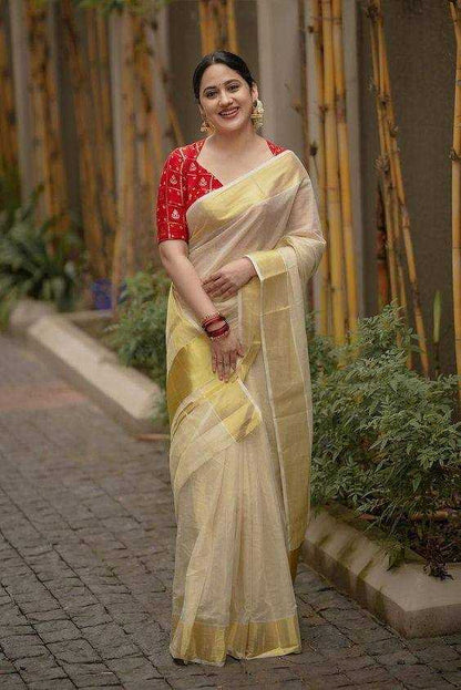 Traditional Tissue Saree