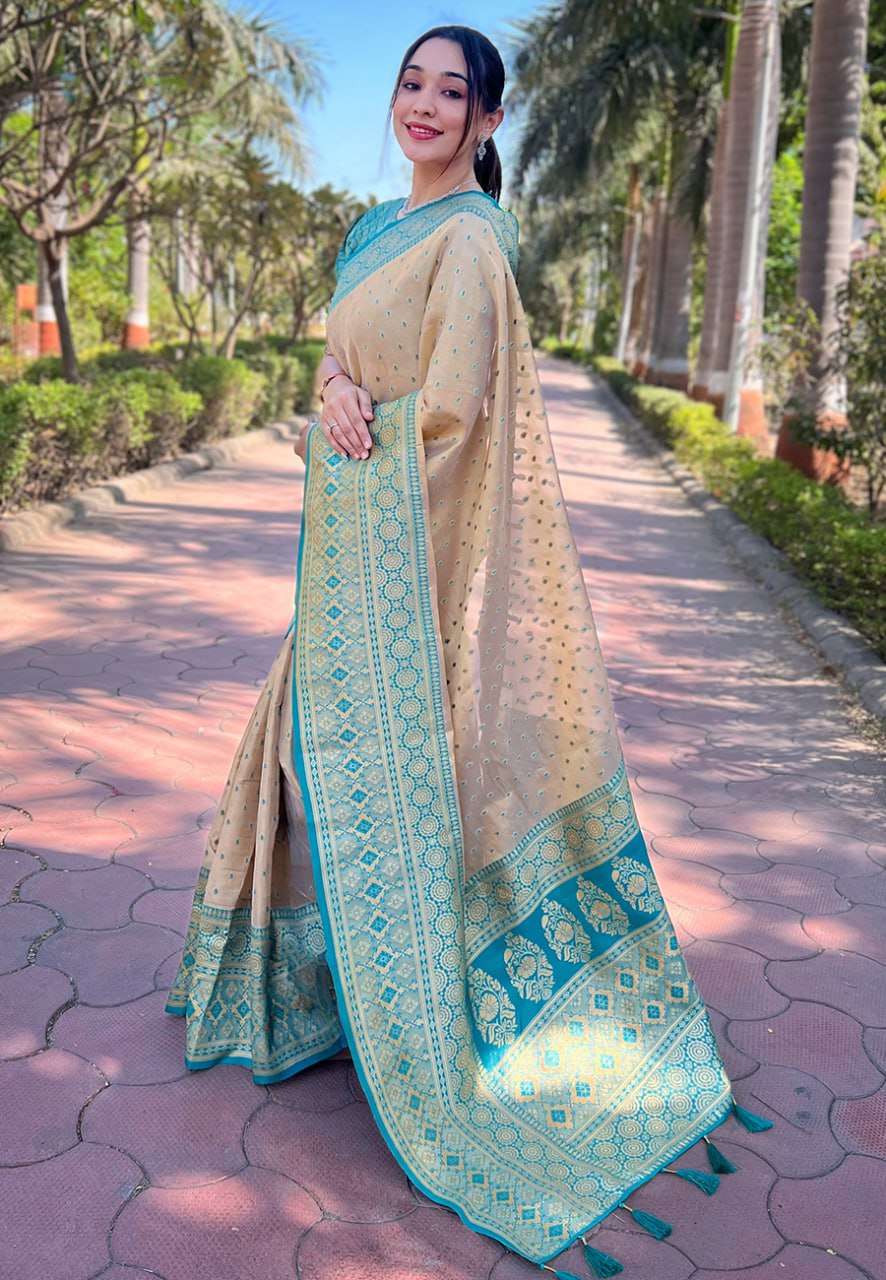 Tissue Saree with Intricate Zari Woven Motifs